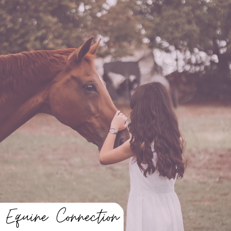 Equine Connection